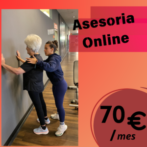 asesoria online