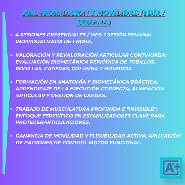 Plan Formación y Movilidad (1 día / semana)