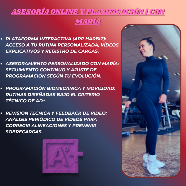 asesoria online maria